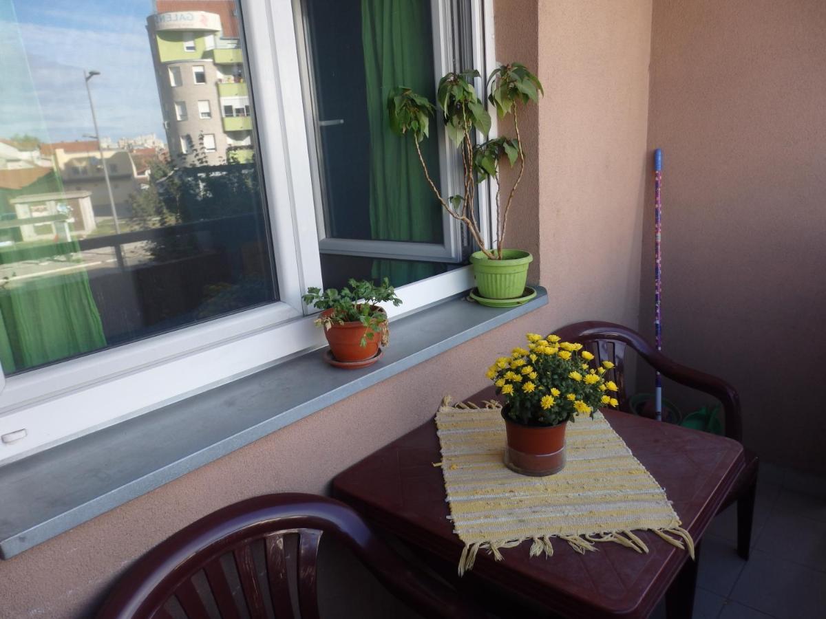 Apartment Erika 2 Novi Sad Eksteriør bilde