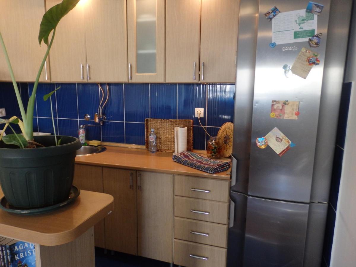 Apartment Erika 2 Novi Sad Eksteriør bilde