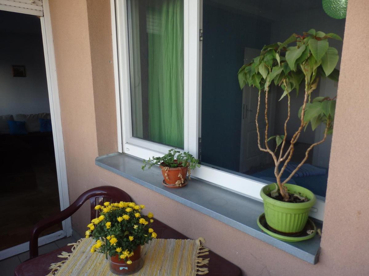 Apartment Erika 2 Novi Sad Eksteriør bilde