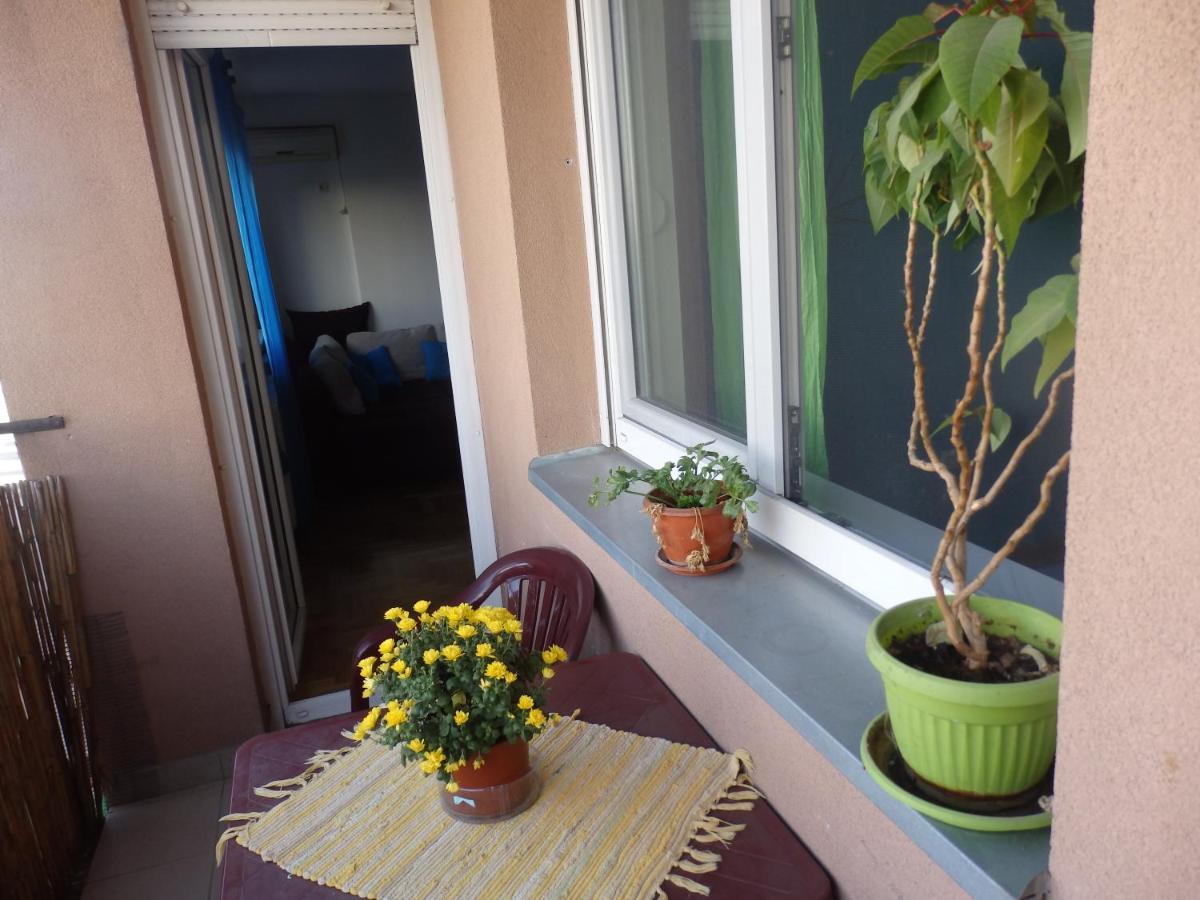 Apartment Erika 2 Novi Sad Eksteriør bilde