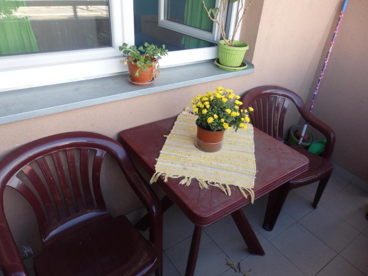 Apartment Erika 2 Novi Sad Eksteriør bilde
