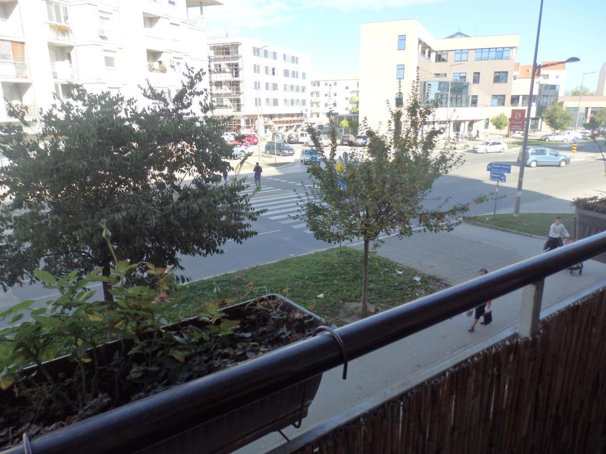 Apartment Erika 2 Novi Sad Eksteriør bilde